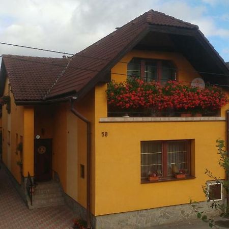 Privat U Zdenky Hotel Lazy pod Makytou Exterior photo
