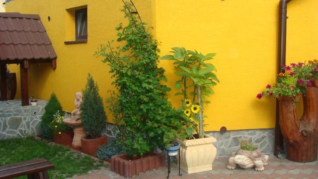 Privat U Zdenky Hotel Lazy pod Makytou Exterior photo
