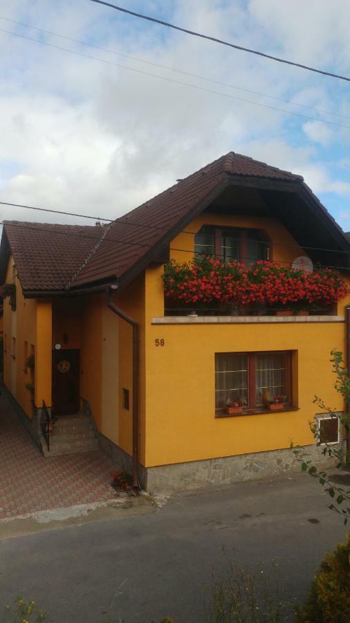 Privat U Zdenky Hotel Lazy pod Makytou Exterior photo